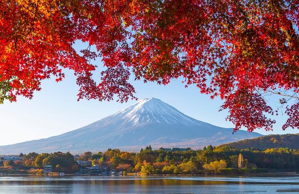 Mt. Fuji Autumn leaves And Heritage Village Trip Tokyo 