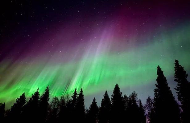 Aurora BBQ in the Private Place in Rovaniemi 