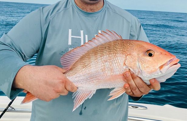 Fishing Charters in Clearwater Beach Florida
