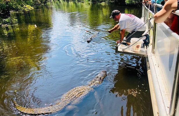Swamp Boat Ride and Whitney Plantation Tour from New Orleans