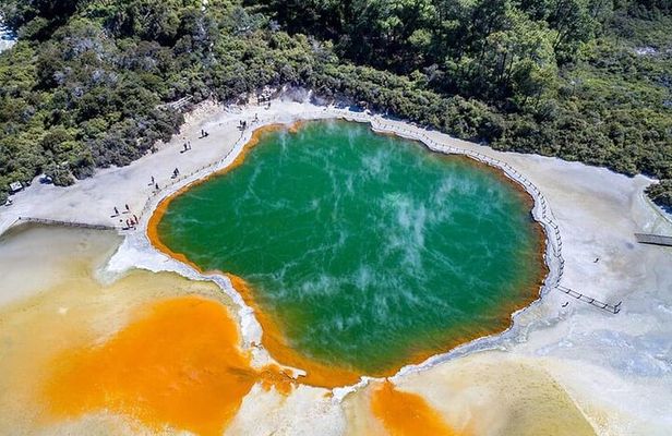 Ex Hamilton TRIPLE DEAL Wai O Tapu Redwood Forest and Blue Spring