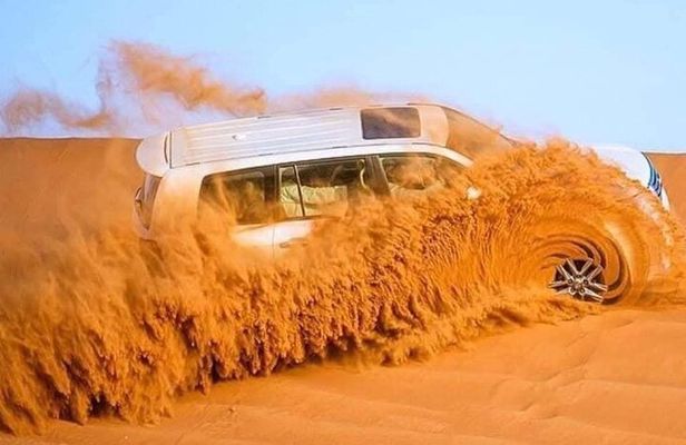 Qatar: Premium Desert Safari With Camel Ride And Dune Bashing 