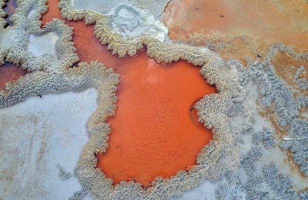 From Auckland, Rotorua Waiotapu and Maori Village Tour with Haka 