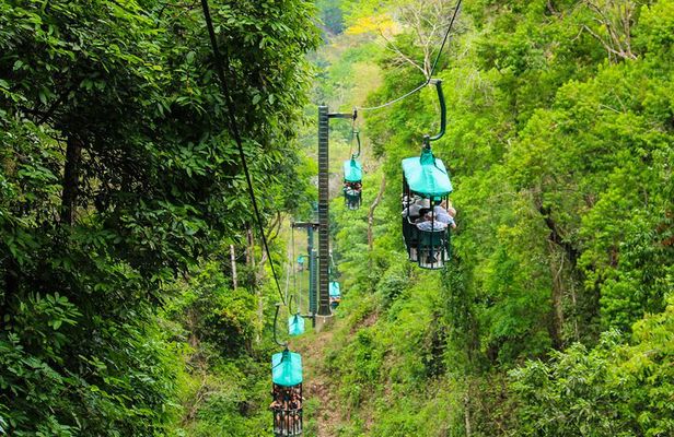 Rainforest Aerial Tram Tour in Jaco, Costa Rica