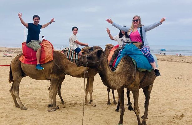 4 Hours Tangier Highlights, Camels and Old Town