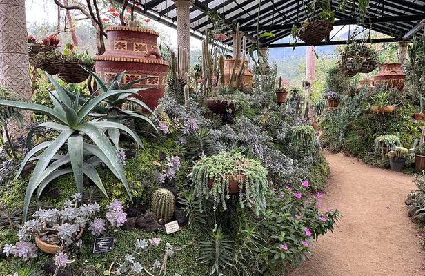 South Shore and Vallarta Botanical Garden Private Tour