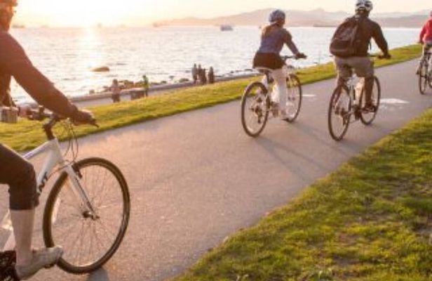 Bicycle Tour in the West Bank in Luxor