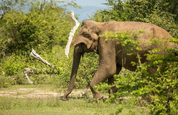 Explore Beyond the Ordinary