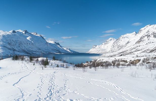 Arctic Fjords Road Trip