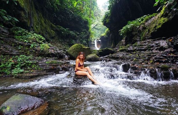 Manila Rainforest Escape and Waterfall Tour