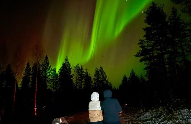  Northern Lights Hunting of Rovaniemi 