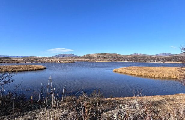 Bird Watching and Fauna in Chilean Patagonia Private Tour 