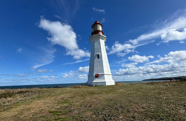Sydney's Story: From Downtown to Coastline