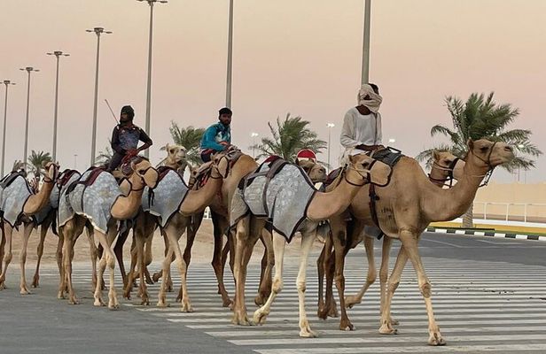Private West Coast Tour: Richard Serra & Desert Wonders