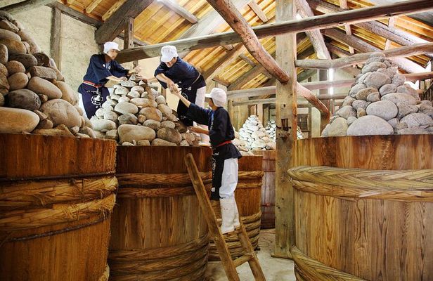 Traditional Hatcho Miso Brewery Tour with Easy Cooking Class