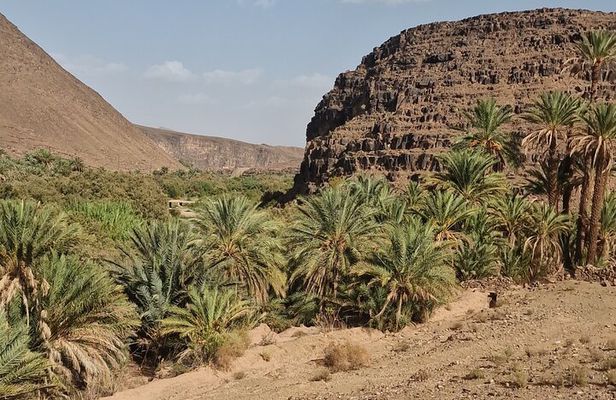 Nature Thrill Adventure Discover Draa Valley By Quad