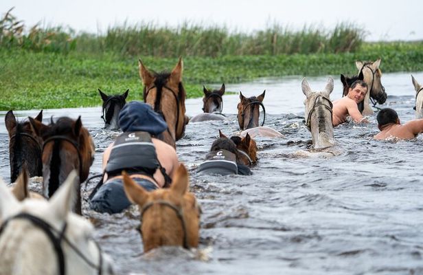 Iberá Wetlands on Horseback: An Unforgettable Gaucho Experience