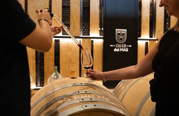 Montserrat Tour with Winery Lunch & Exclusive Cellar Experience