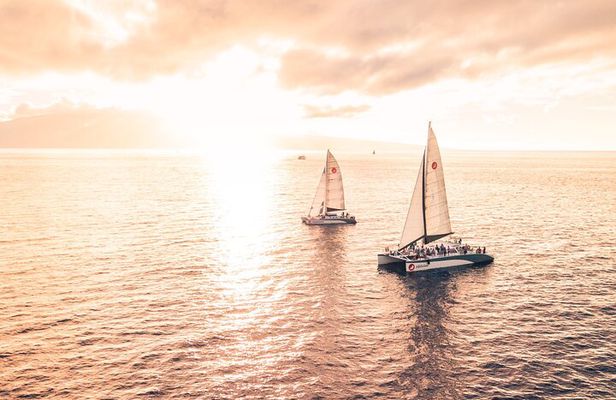 Golden Hour Whale Watch from Lahaina