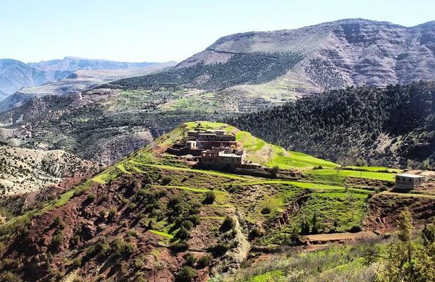 Atlas Mountains All-Inclusive Private Day Trip (Lunch, Guide )