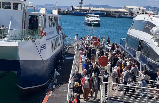 Robben Island Museum Ticket Ferry Half Day Tour