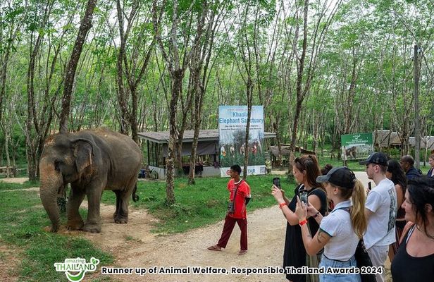 Guide Tour to Khaolak Elephant Sanctuary in Small Group
