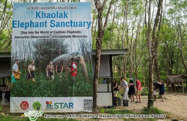 Evening Guide Tour to Khaolak Elephant Sanctuary Free 1 Cocktail