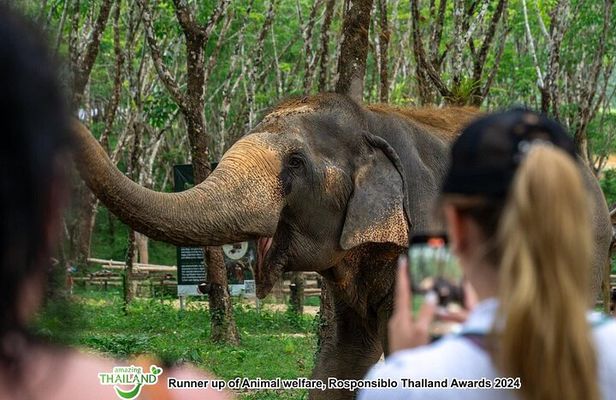 Khao Lak Elephant Sanctuary Tour with Waterfall and Lunch