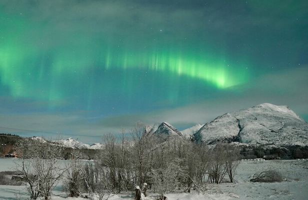 Hunt for the Northern Lights in the Arctic Night