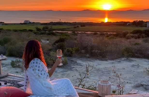 Castelsardo Vineyard and Wine Tasting Experience with Sunset