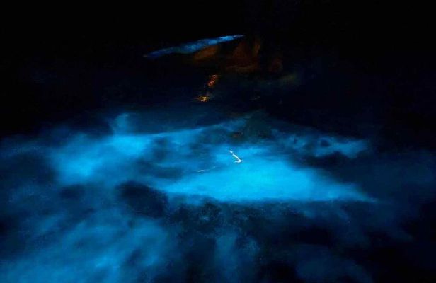 Vieques Biobay Kayaking Tour