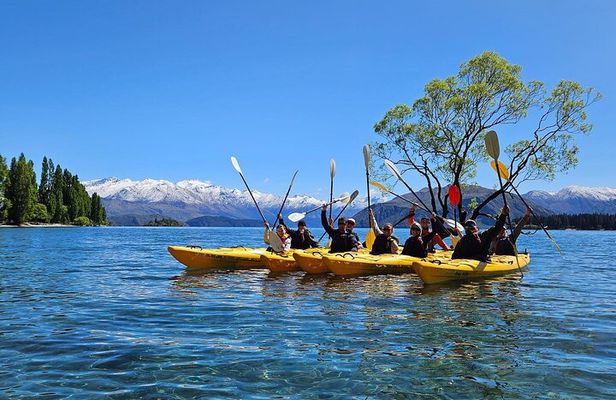 Lake Wanaka Roy's Bay Kayak Tour