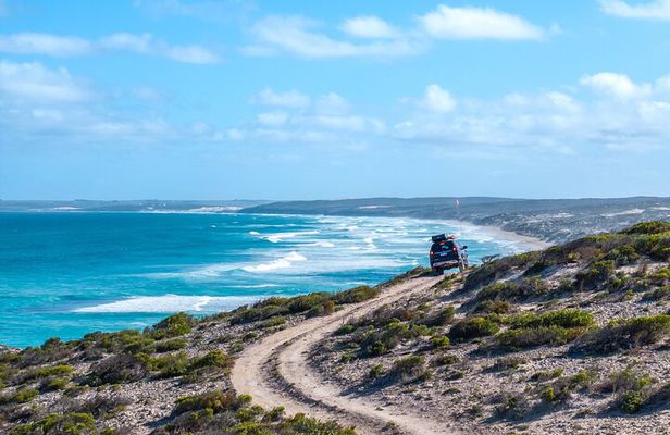 Port Lincoln National Park Half day Tour