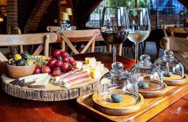 Mexican Wine Tasting & Aroma Sensory Experience