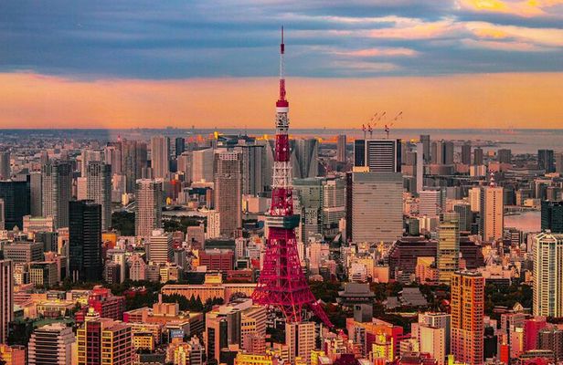 Private Custom Tokyo Tour with English Driver-guide