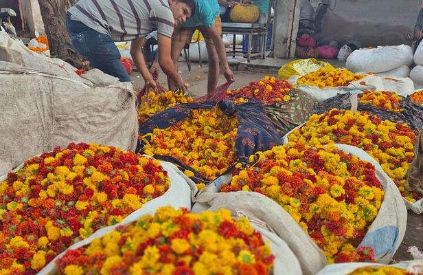 Secrets of the Pink City Old Jaipur Heritage Walking Tour