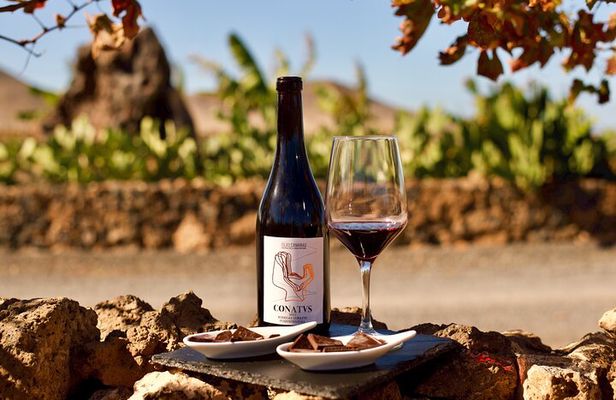 Fuerteventura: Wine Tasting and El Cotillo Afternoon Escape