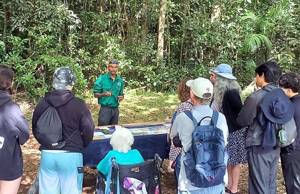 Atherton Tablelands: 2-Hour Private Aboriginal Culture Tour
