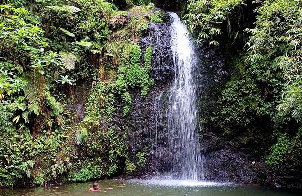 Tour to discover the lush North and waterfalls