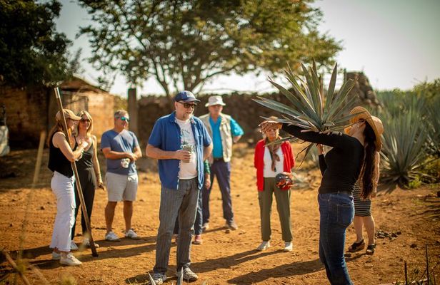 Ultimate tequila 2 day trip from Puerto Vallarta 