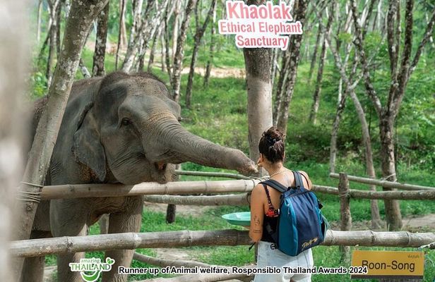 Khao Lak Ethical Elephant Sanctuary Conservation Experience