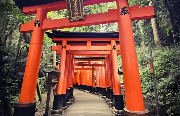 Private Kyoto Sightseeing Tour with Licensed Green-Plate Vehicle