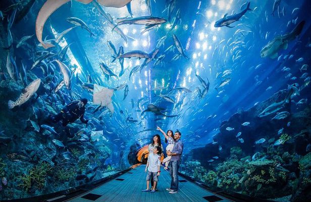 Istanbul Aquarium Admission with Hotel Transfers