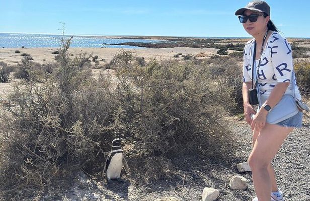 Punta Tombo and Isla Escondida From Puerto Madryn Patagonia