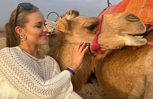 Marrakech Agafay Desert Sunset Camel Ride and Dinner Show