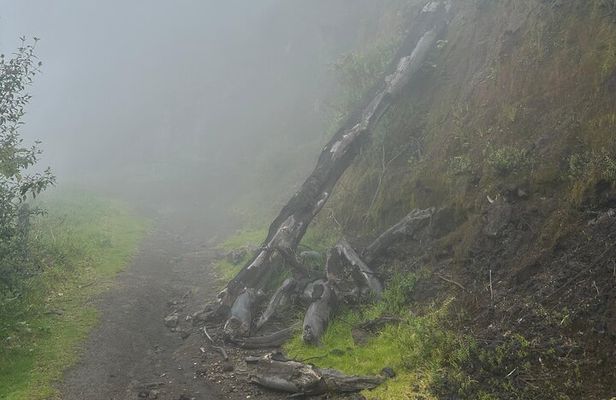 Unique Hiking around an active Turrialba Volcano /Selfdrive tour