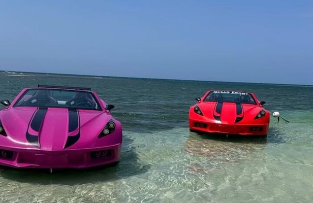 Jet Cars and Jet Ski with Transportation