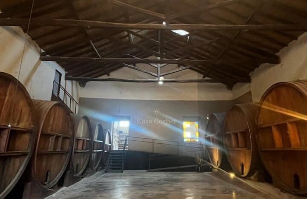 Flavors of Mendocinos