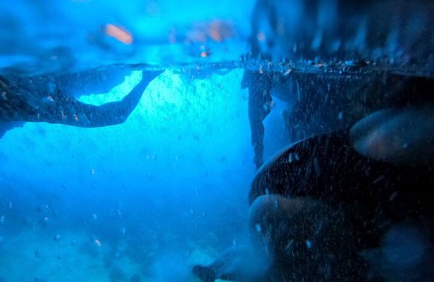 Dubrovnik Cavtat Blue Cave and Elaphiti with Food and Drinks