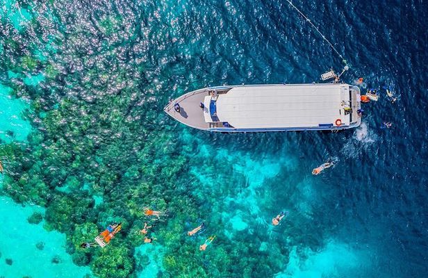 Surin Islands 3 Reef Snorkel Masterpiece by Speedboat